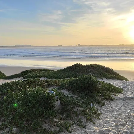 D Wan Deluxe * בליאל